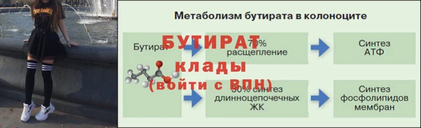 гидра Михайловск