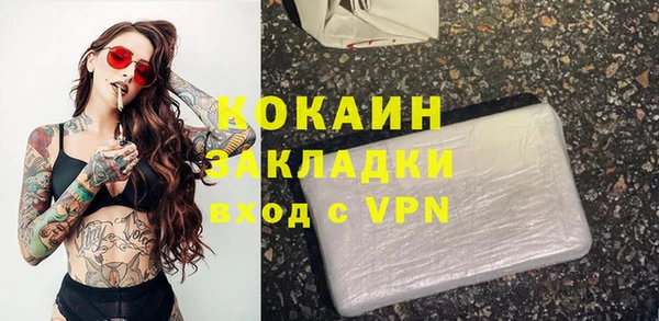 прущие грибы Алагир