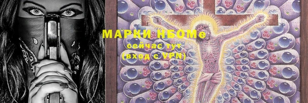гидра Михайловск