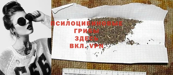 гидра Михайловск