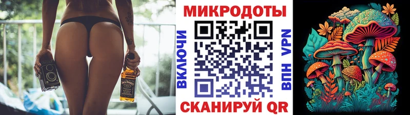 Псилоцибиновые грибы прущие грибы  blacksprut ССЫЛКА  Новороссийск 
