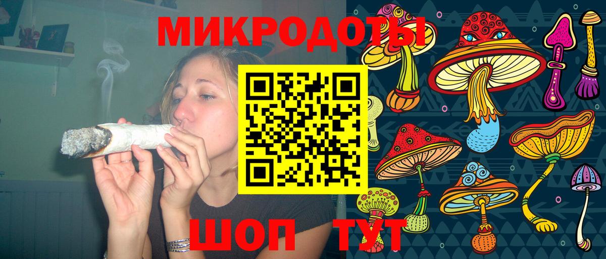 ГАШ Новороссийск