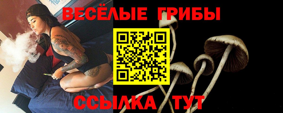 Галлюциногенные грибы Psilocybine cubensis Новороссийск