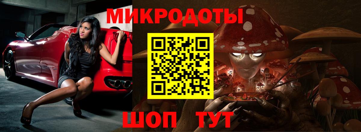 Псилоцибиновые грибы Cubensis  Вход с VPN  Галлюциногенные грибы Cubensis  Новороссийск 